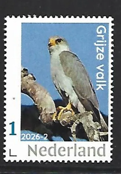 Netherlands 2026-2 Raptor: Grey falcon MNH