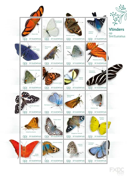 Caribbean Netherlands 2024: St Eustatius: Butterflies sheetlet MNH