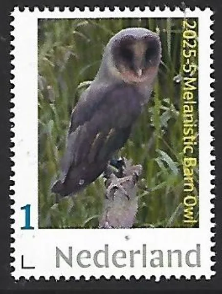Nederland 2025-5 Uil- Owl Melanistic Barnowl postfris/mnh